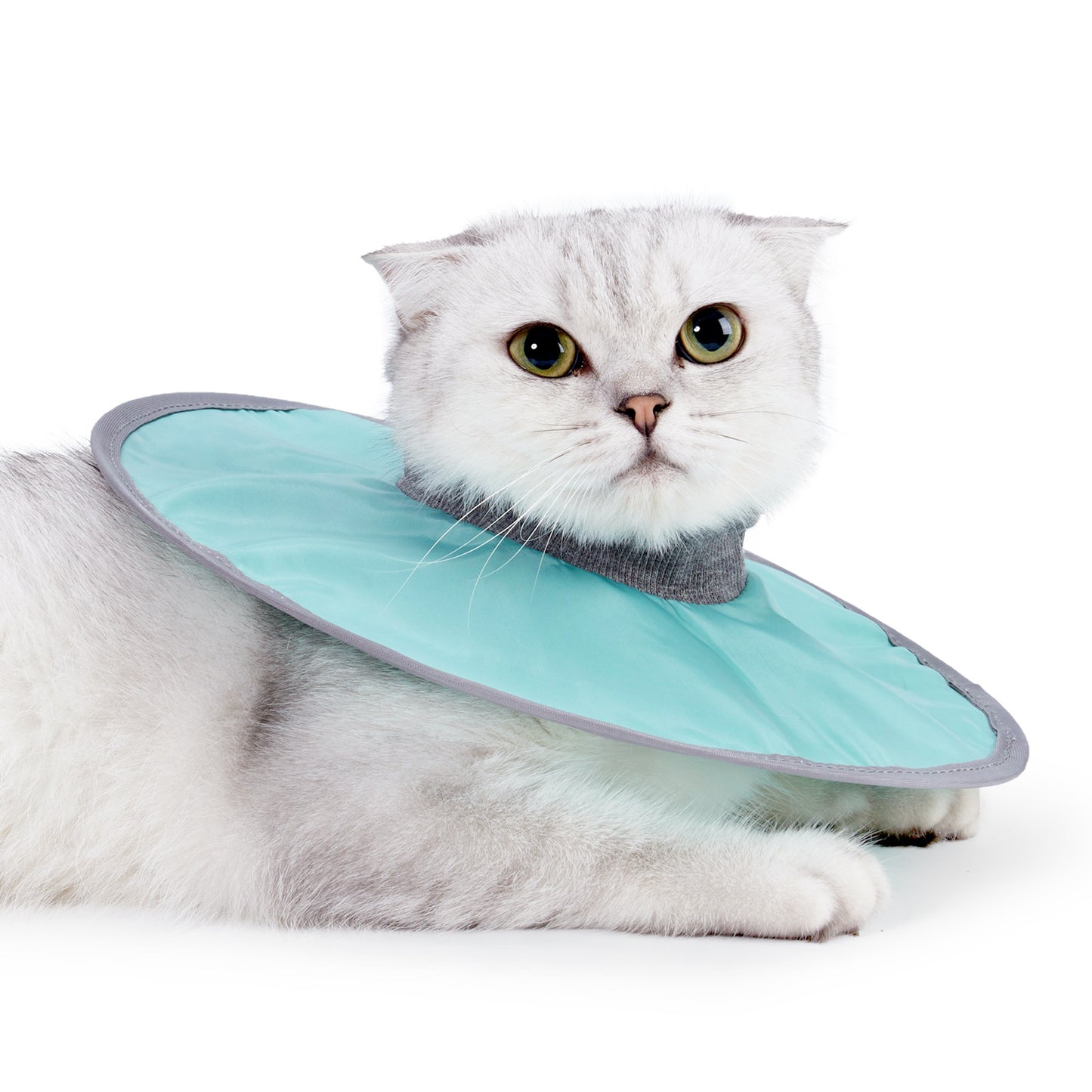 Cloth Circle Collar Pet Supplies Cat Supplies